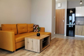 Urban Chic - Studio Apartment - City Center - Piecewska